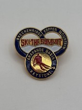 VTG Ski The Summit CO Pin