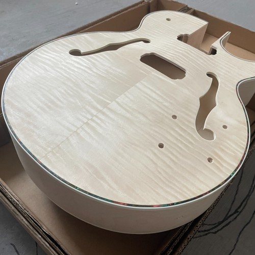 Diy electric guitar archtop - electric,