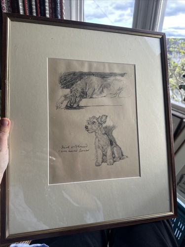 Cecil aldin framed print - cecil,