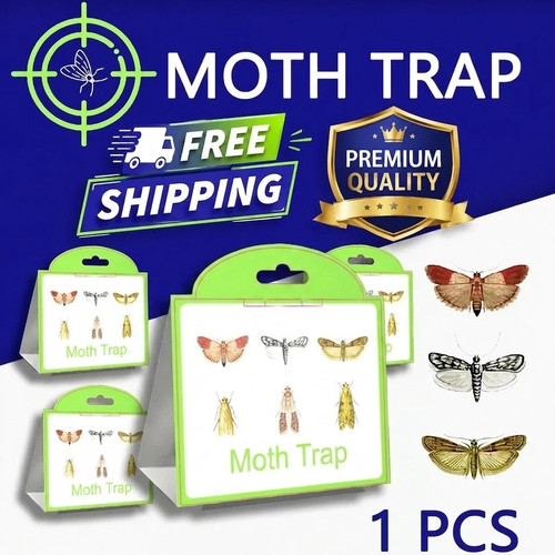 Pheromone moth traps - moth,