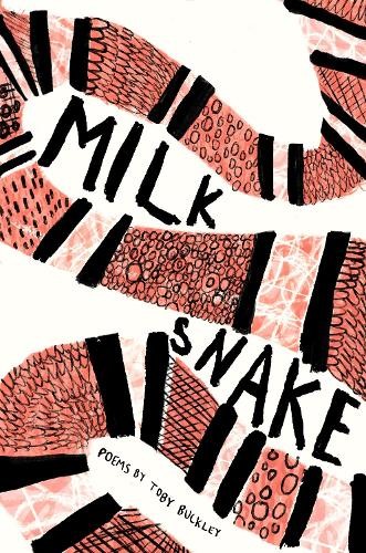 Toby buckley milk snake - toby,