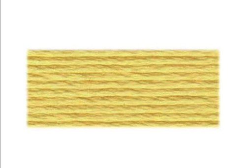 Skiens dmc 744 yellow - skiens,