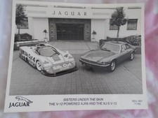 Silk Cut Jaguar XJR8 & XJS V12