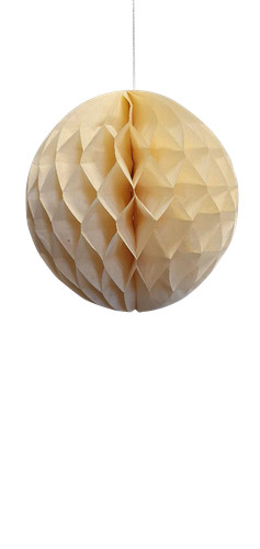 Pack 10 12 paper - 6", 8"