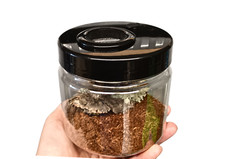 Tarantula Spider Slings