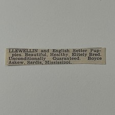 Boyce Askew Llewellin English