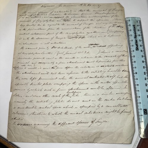 Abbe dicquemare essay sea - abbe,