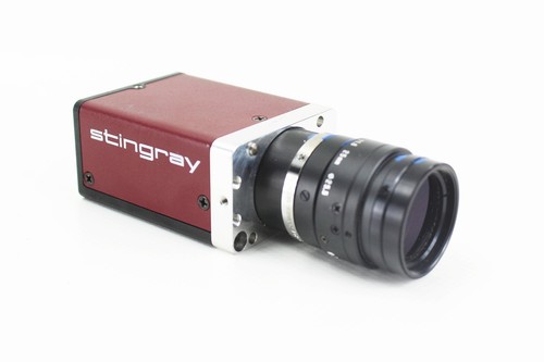 Allied vision stingray - allied,