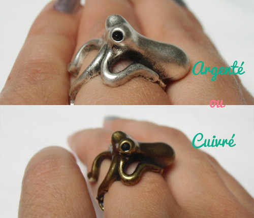Ring octopus squid original - squid,