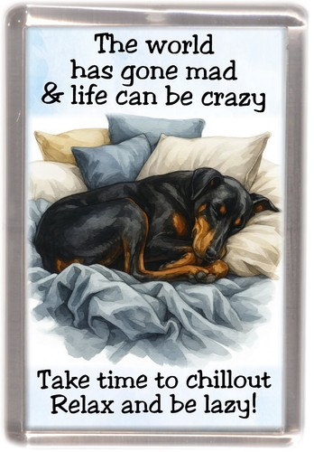 Dobermann dog fridge magnet - dog,