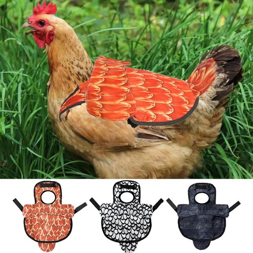 Chicken saddle for hens - chicken,
