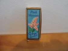 GOYA PINK MIMOSA MINIATURE