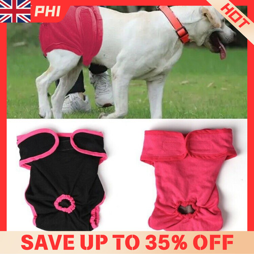 Washable female dog diaper - female,