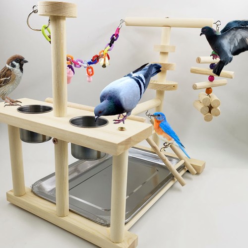 Bird perches nest play stand - bird,