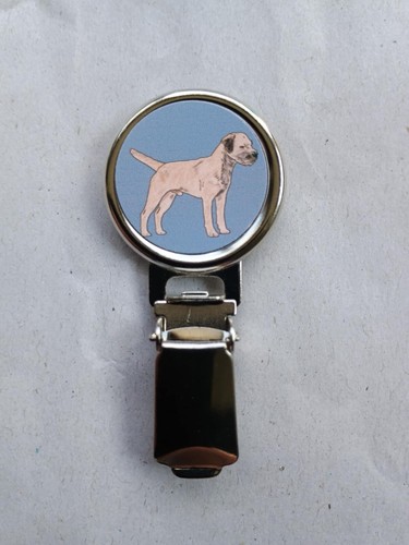 Border terrier dog show - border, ring
