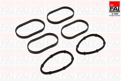 Fai inlet manifold - manifold, (6