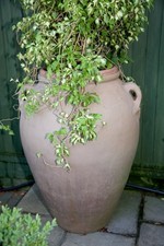 Jumbo Size Quality Terracotta