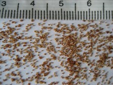 Lithop Seeds 2026 List 1/3 ~