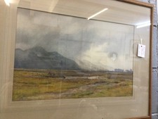 Framed Original Watercolour of