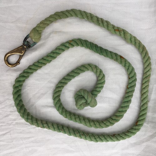 Green horse lead - , rope