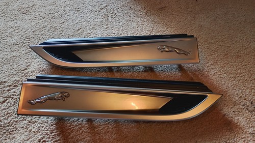Jaguar type wing fender - jaguar, wing/fender