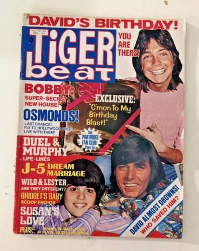 July 1971 tiger beat - tiger, magazine