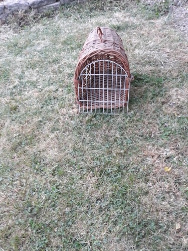 Vintage natural wicker pet - wicker,