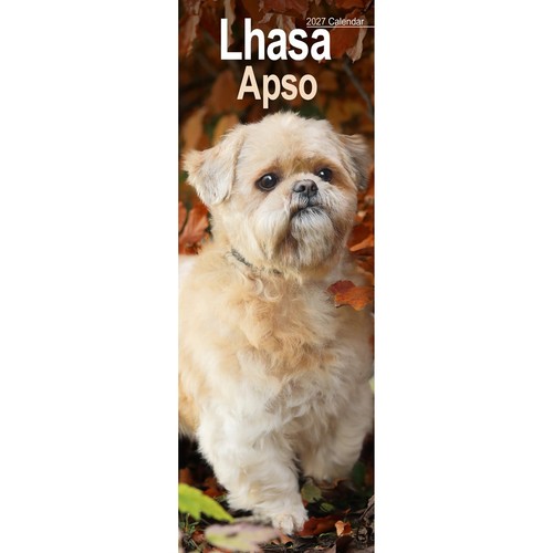 Lhasa apso slim calendar 2027 - lhasa,