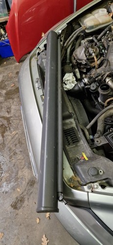 Volvo v50 rear - rear, dog