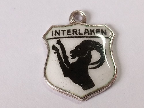 Silver travel shield charm