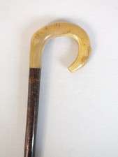 Rams Carved Horn Shepherds