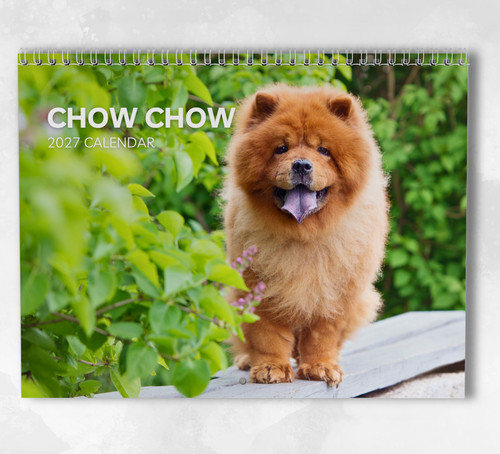 Chow calendar 2027 - chow,