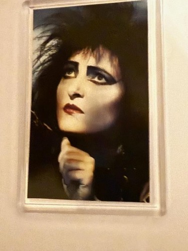 Siouxsie and the banshees - the,