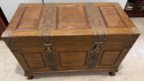 Large chinese oriental camphor - chinese,