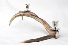 Scottish Natural Stag Horn