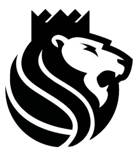 Vinyl decal car truck - vinyl, sticker