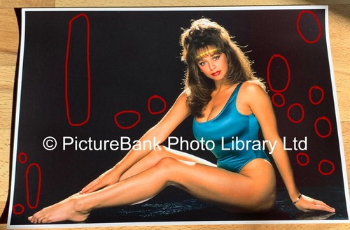 Maria whittaker misprint - whittaker,