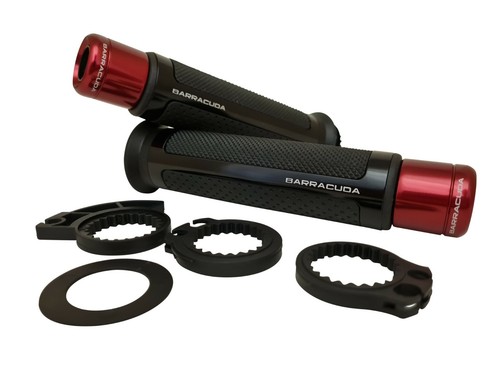 Suzuki rf900 barracuda - suzuki,