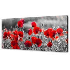 Red poppies flowers field - poppies,