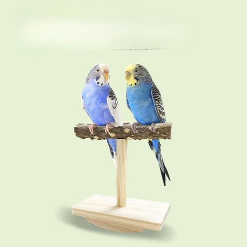 Bird perch toy - perch, wood