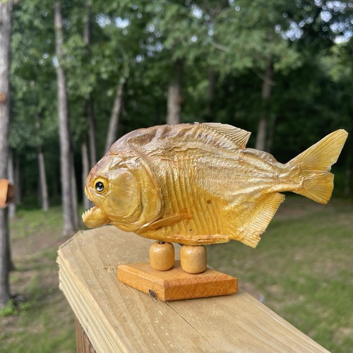 Vintage taxidermy piranha - vintage,