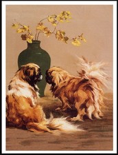 PEKINGESE DOGS LOVELY DOG ART