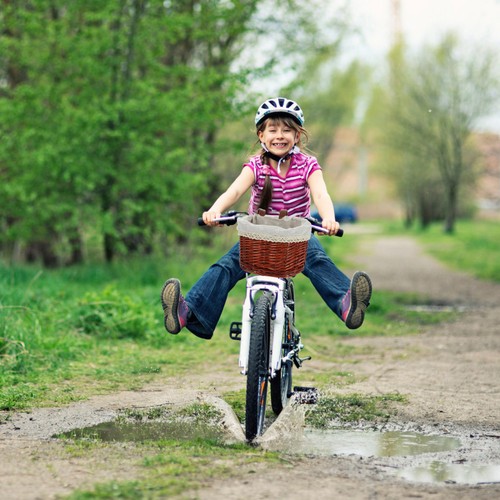Durable bamboo bike - bamboo, basket