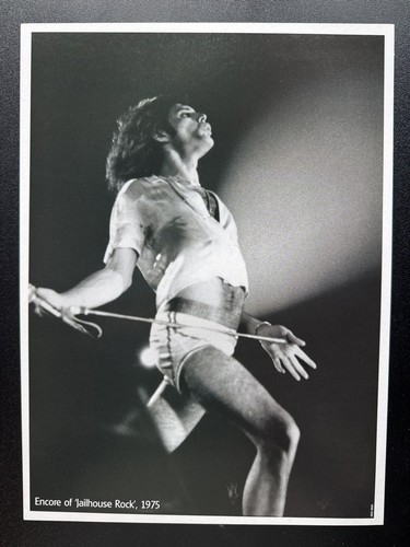 Freddie mercury queen - mercury, |