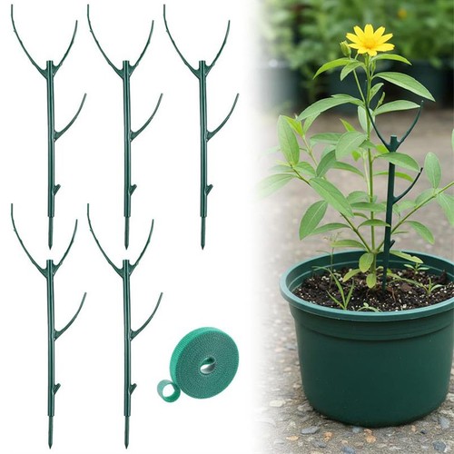 Pack plant support - 5,