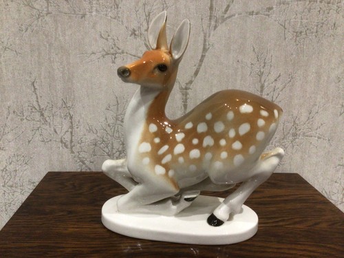 Lomonosov female doe - lomonosov, 14h