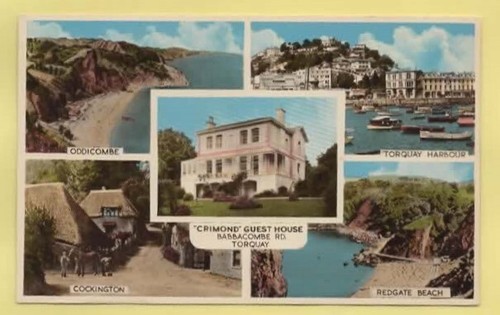 311072 postcard torquay - 311072,