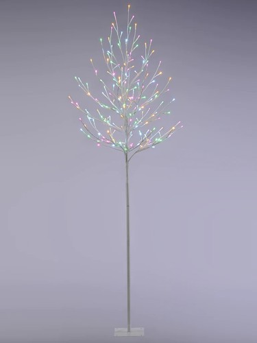Festive indoor outdoor - indoor,