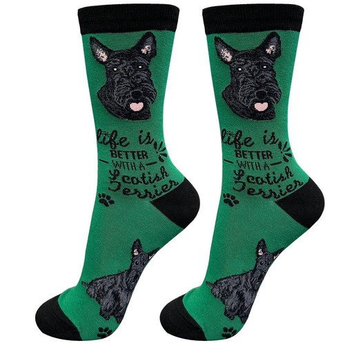 Scottish terrier scottie - scottish,