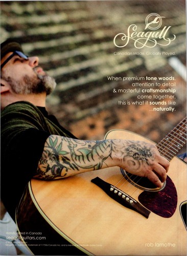 2015 seagull acoustic guitars - acoustic,
